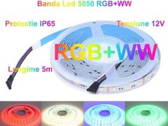 BANDA LED RGBWW 5050, 60LED/M - IP65, 5M/ROLA